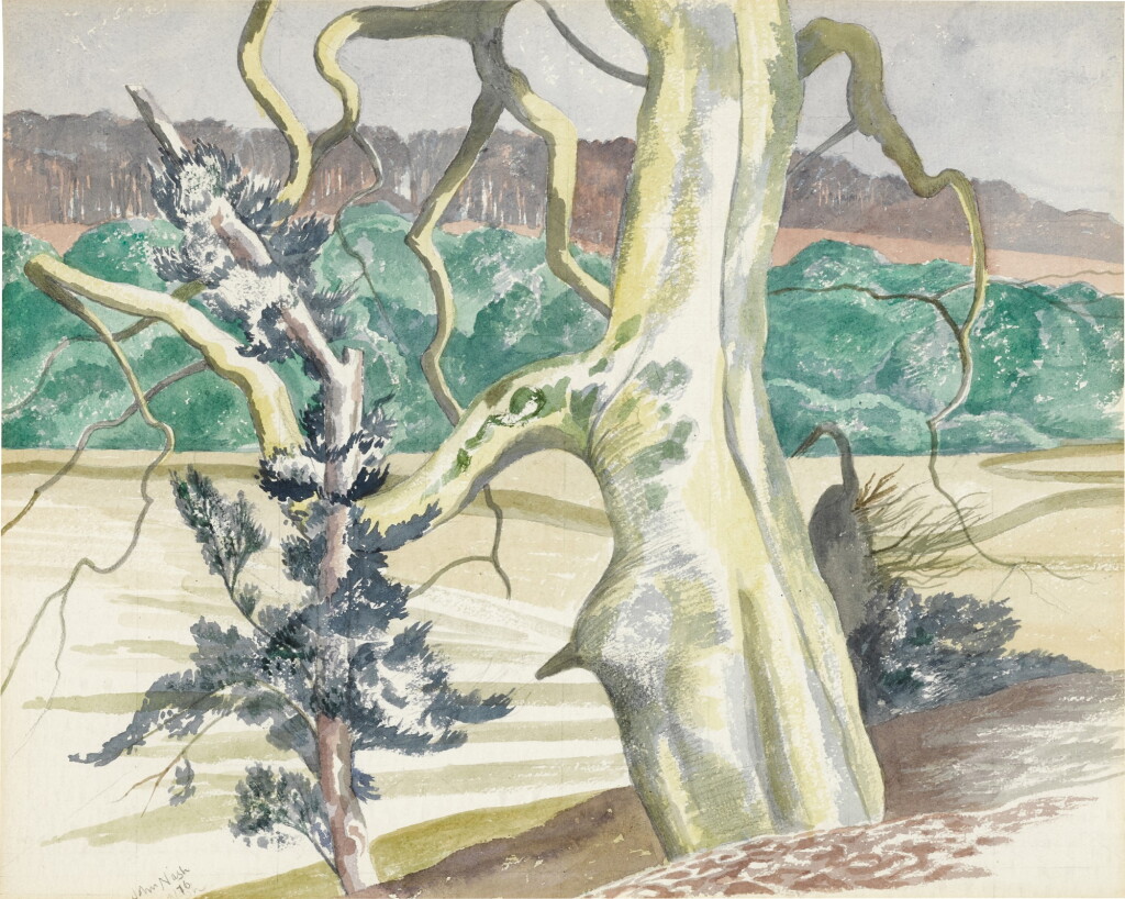 View full screen - View 1 of Lot 166. Giant Beech by the Estuary.