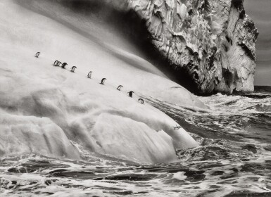 View full screen - View 1 of Lot 52. 'South Sandwich Islands' (Chinstrap Penguins on an iceberg located between Zavodovski and Visokoi Islands).