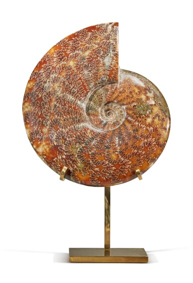 View full screen - View 1 of Lot 20. An Ammonite.