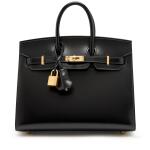 Black Box Birkin 25 Sellier Gold Hardware, 2024
