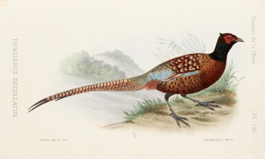 View full screen - View 1 of Lot 54. Armand David and Emile Oustalet | Les oiseaux de la Chine, 1877.