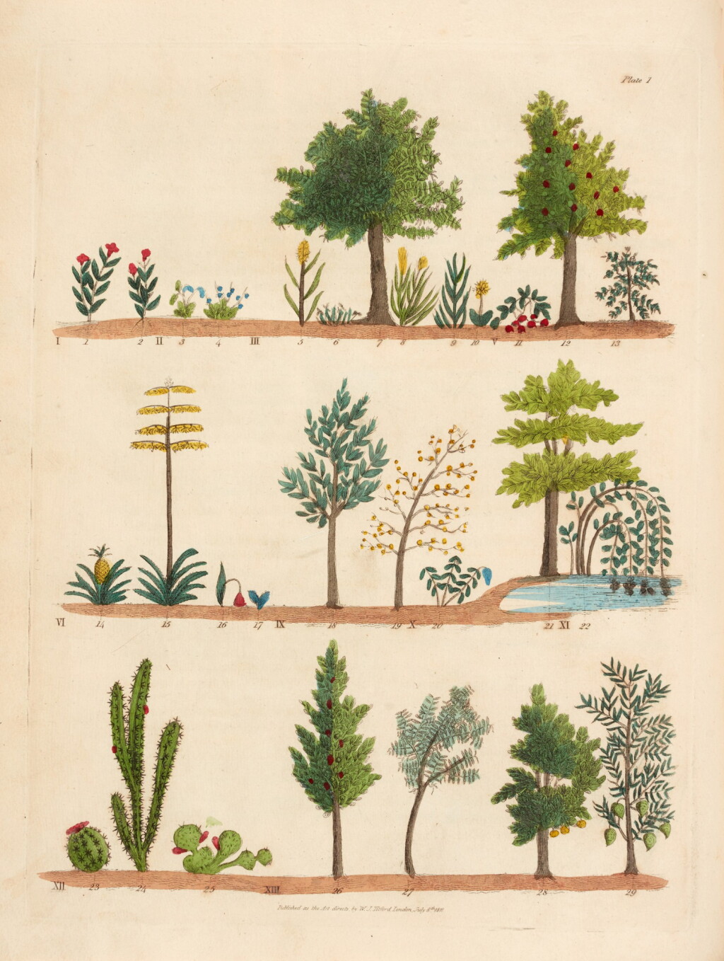 View full screen - View 1 of Lot 228. William Jowit Titford | Sketches Towards a Hortus Botanicus Americanus, 1811, 6 parts in 1 volume.