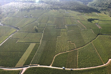 View full screen - View 1 of Lot 6088. Bouchard Père et Fils Meursault, Les Genevrières 2017 & 2020 (12 BT).