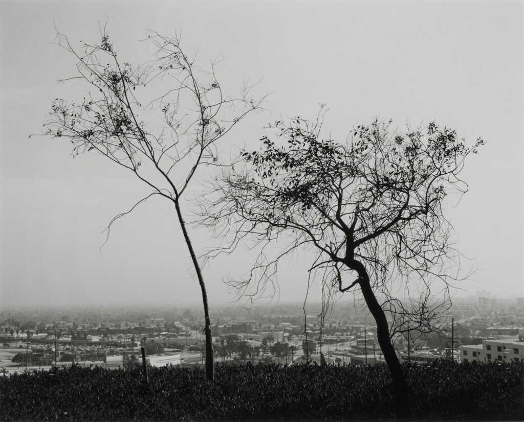 View full screen - View 1 of Lot 61. 'On Signal Hill, Overlooking Long Beach, California'.
