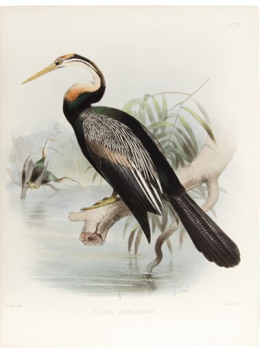 View full screen - View 1 of Lot 137. Tristram, Henry Baker. First edition with hand colored plates—from the library of the Duke of Westminster.