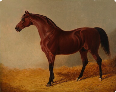 View full screen - View 1 of Lot 196. The Right Honorable Earl of Scarbrough's Catton in a Stable.