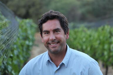 View full screen - View 1 of Lot 29. ELLMAN, Family Reserve Cabernet Sauvignon, Napa Valley 2020 (60 BT).