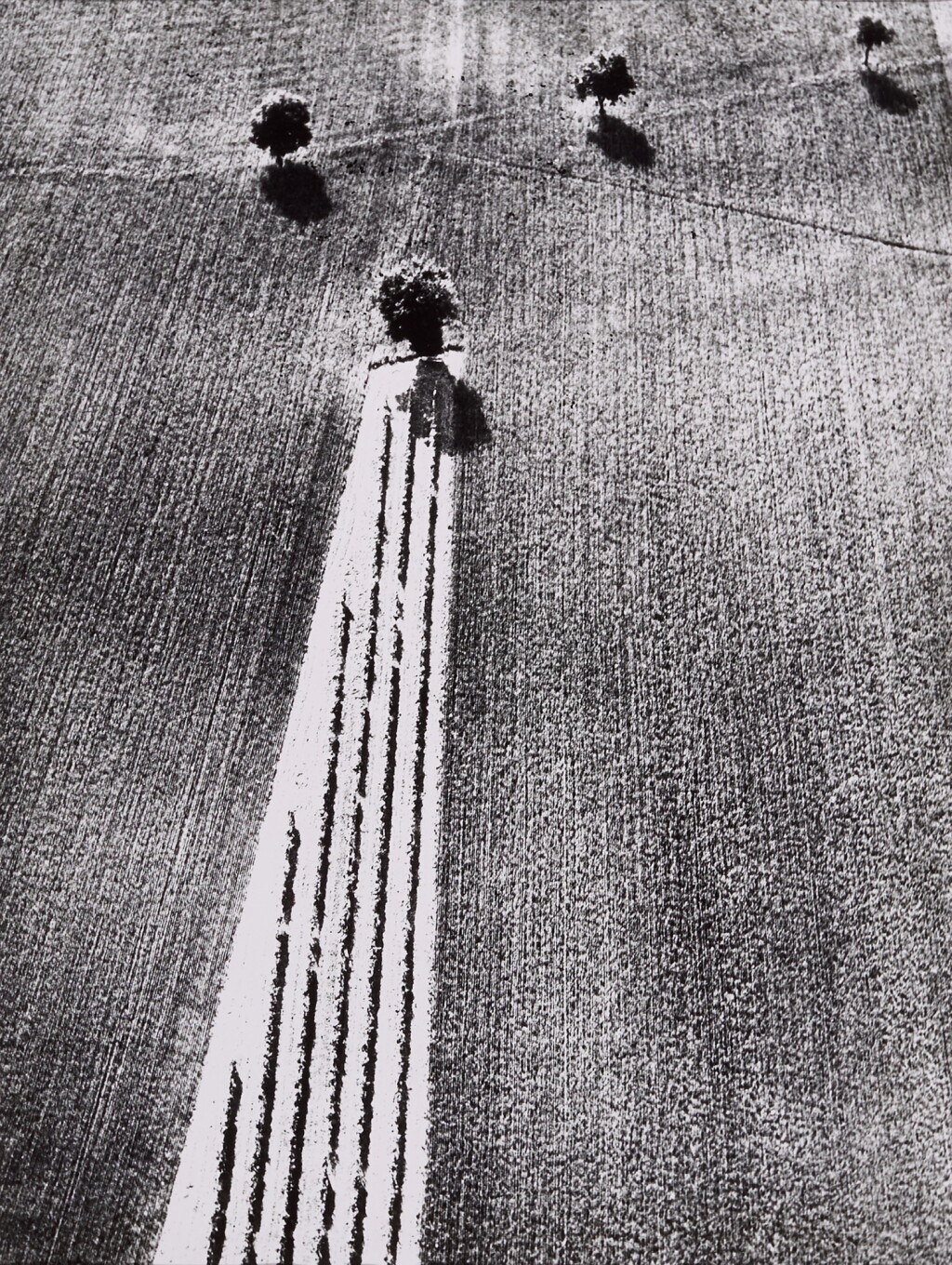 View full screen - View 1 of Lot 45. Selected Images (Aerial Landscapes).