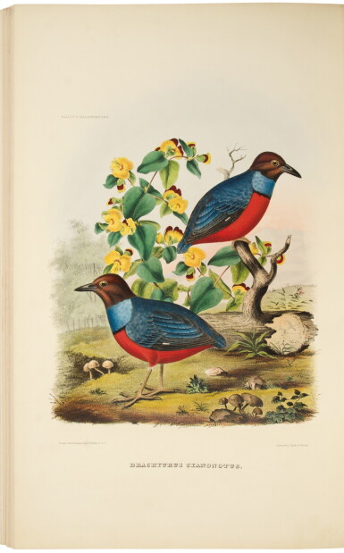 View full screen - View 1 of Lot 195. Elliot, Daniel Giraud | The scarcest of Elliot's major monographs.
