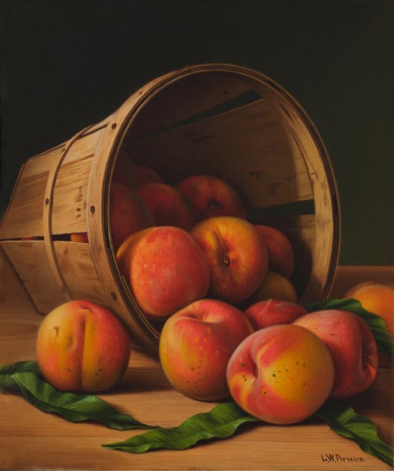 Cover image 0