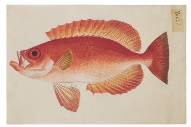 View full screen - View 1 of Lot 118. ATTRIBUTED TO KAWAHARA KEIGA (1786–1860) STUDIO, EDO PERIOD, 19TH CENTURY, A GROUP OF TWENTY-FOUR FISH.