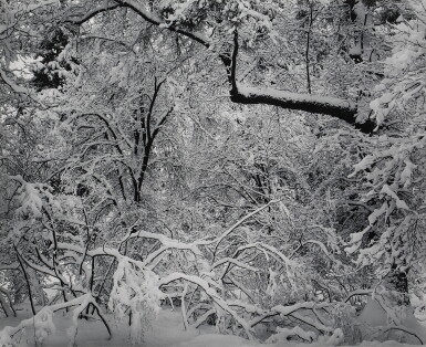 View full screen - View 1 of Lot 46. Fresh Snow, Yosemite Valley, California.