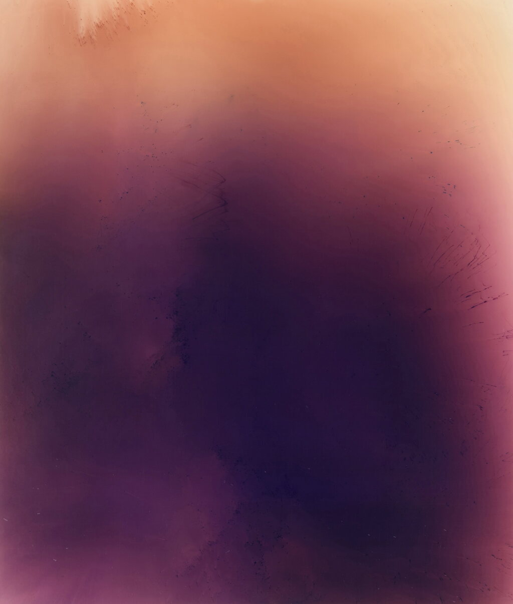 View full screen - View 1 of Lot 360. Blushes #80.