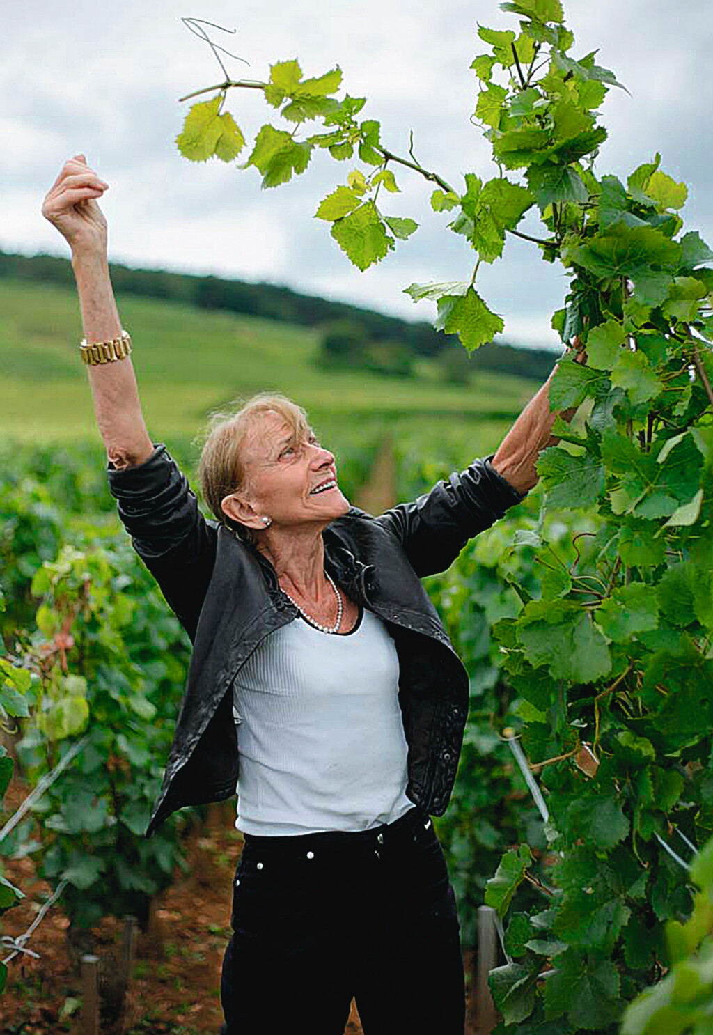 View full screen - View 1 of Lot 7038. Vosne Romanée, Les Beaux Monts 2009 Domaine Leroy (12 BT).