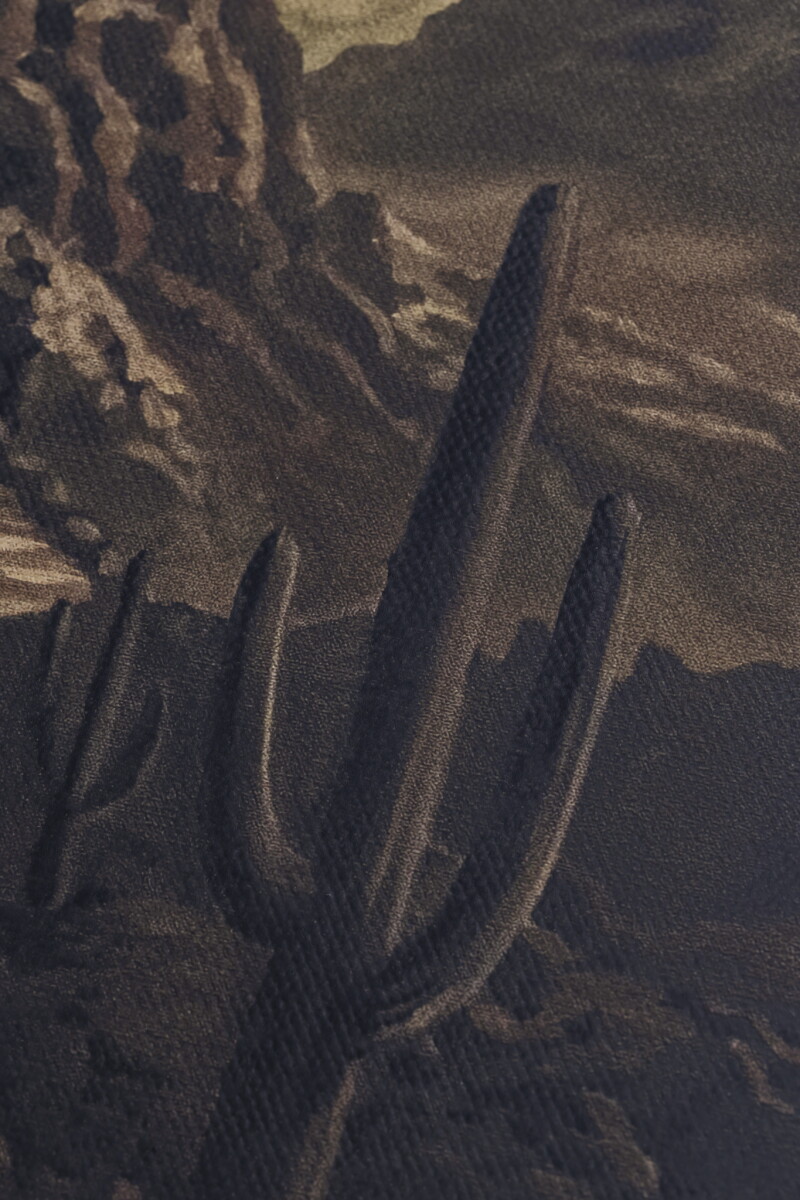 Cover image 0