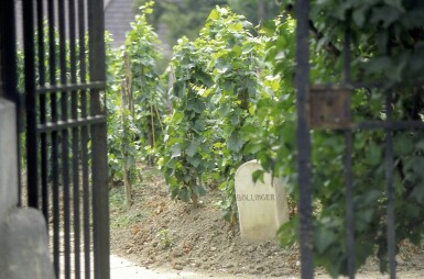 View full screen - View 1 of Lot 1337. Bollinger Grande Année Rosé 2007 (4 BT).