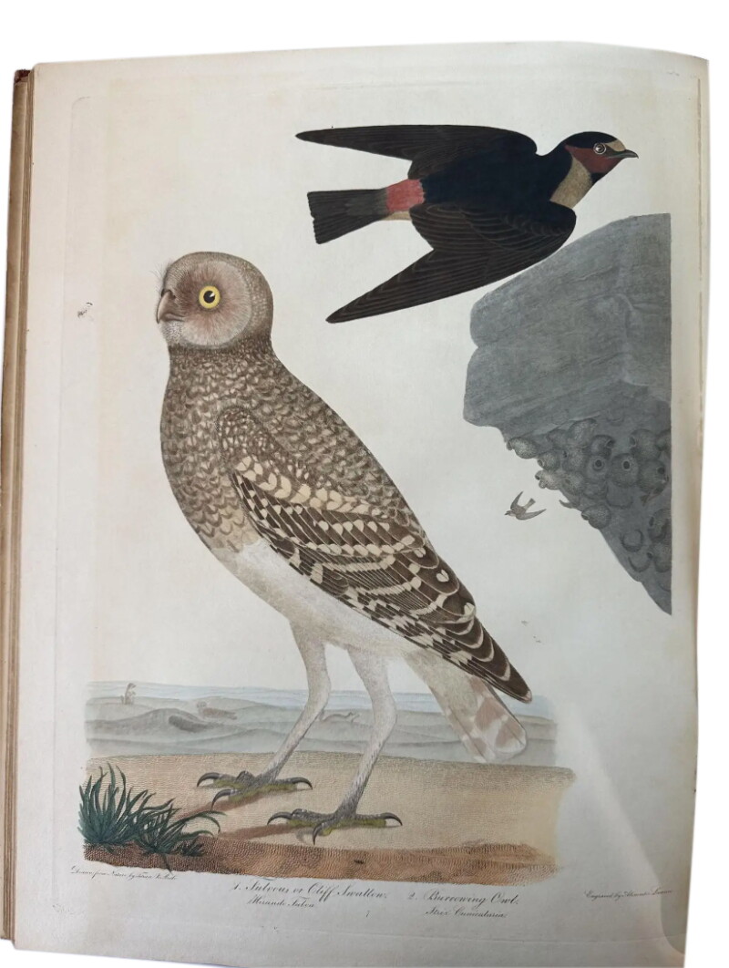 Cover image 0