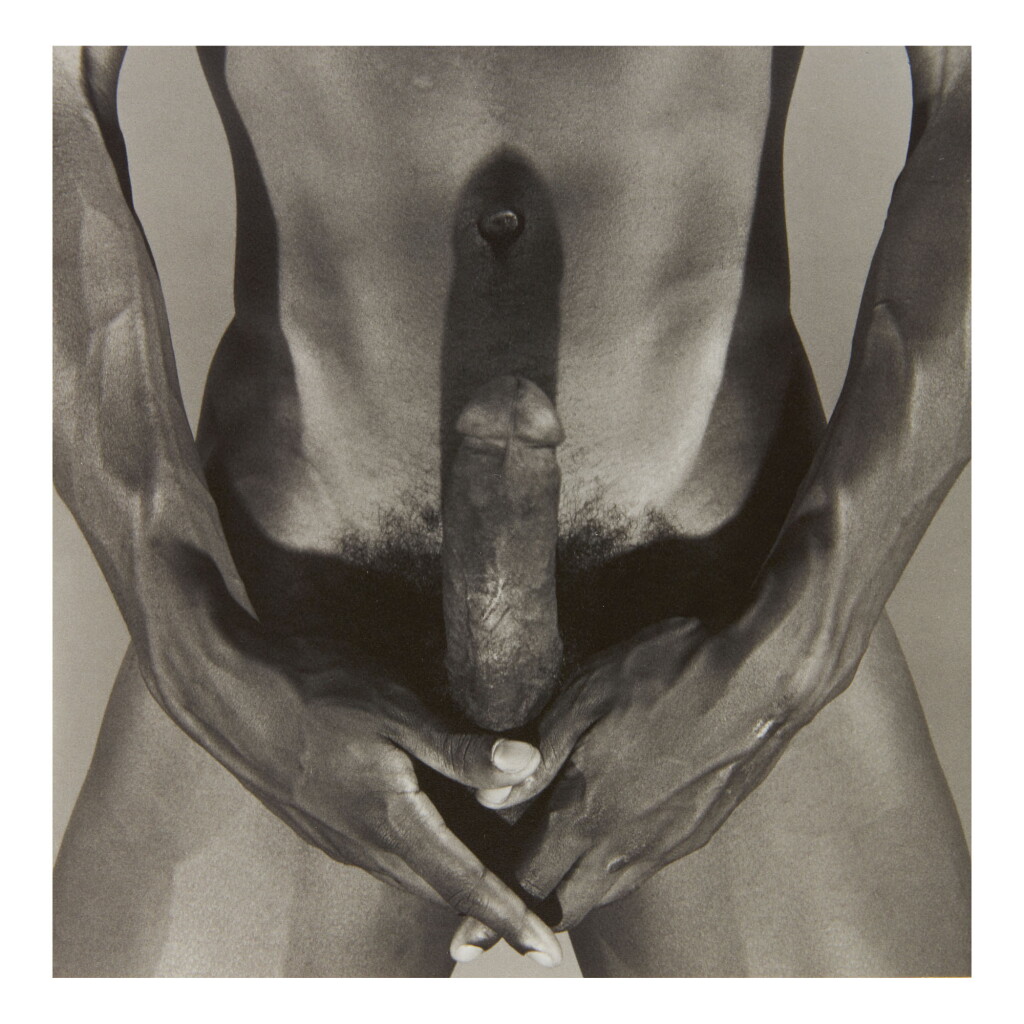 View full screen - View 1 of Lot 62. ROBERT MAPPLETHORPE | DENNIS SPEIGHT.