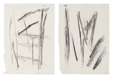 View full screen - View 1 of Lot 225. DAVID RABINOWITCH | I.UNTITLED (#14) II. UNTITLED (#30).