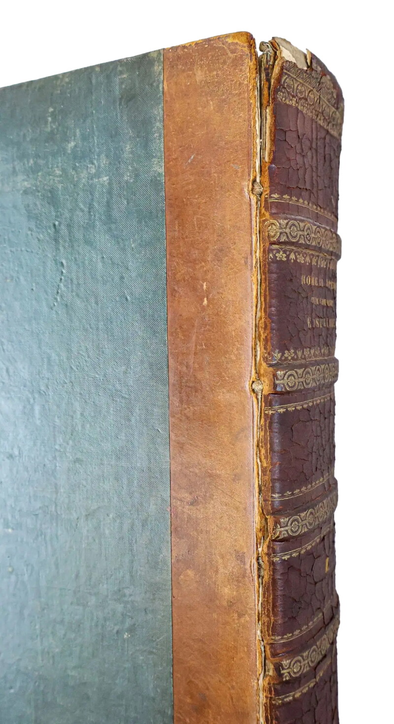 Cover image 0