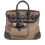 Limited Edition Ecorce Swift and Mousse Canvas Goeland Cargo Birkin 25 Palladium Hardware, 2025