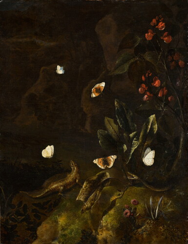 View full screen - View 1 of Lot 367. A forest floor still life with a lizard, snake and butterflies.