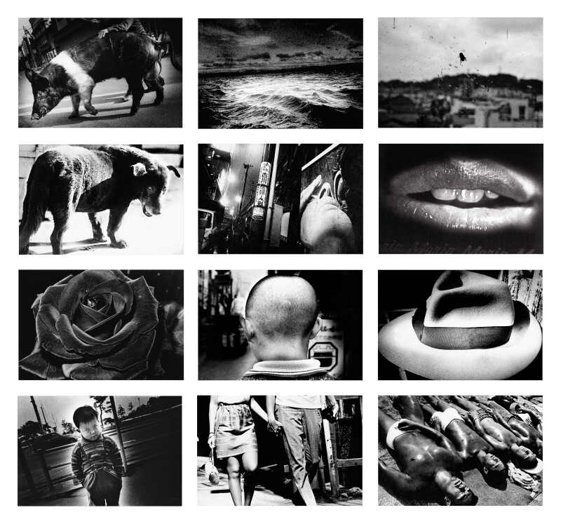 Cover image 0