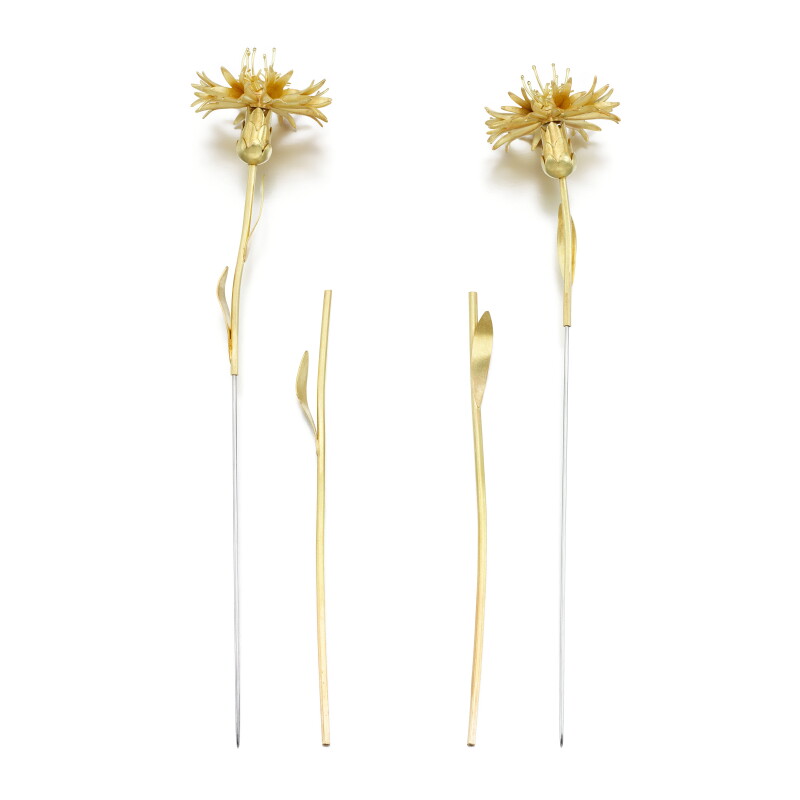 Cover image 0