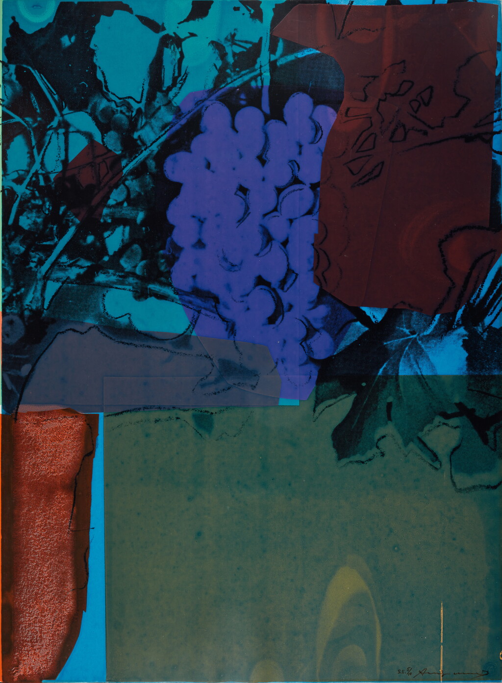 View full screen - View 1 of Lot 23. Grapes.