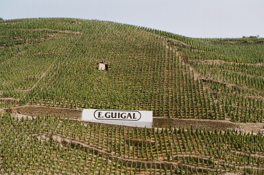 View full screen - View 1 of Lot 257. Condrieu, La Doriane 2015 Guigal (12 BT).