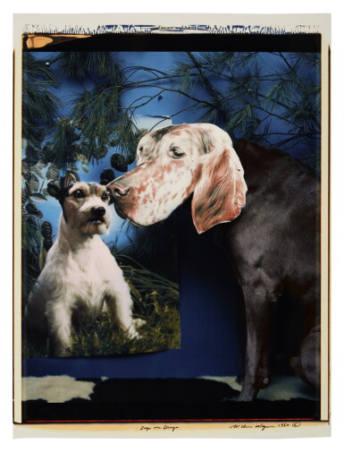 View full screen - View 1 of Lot 396. Dogs on Drugs.