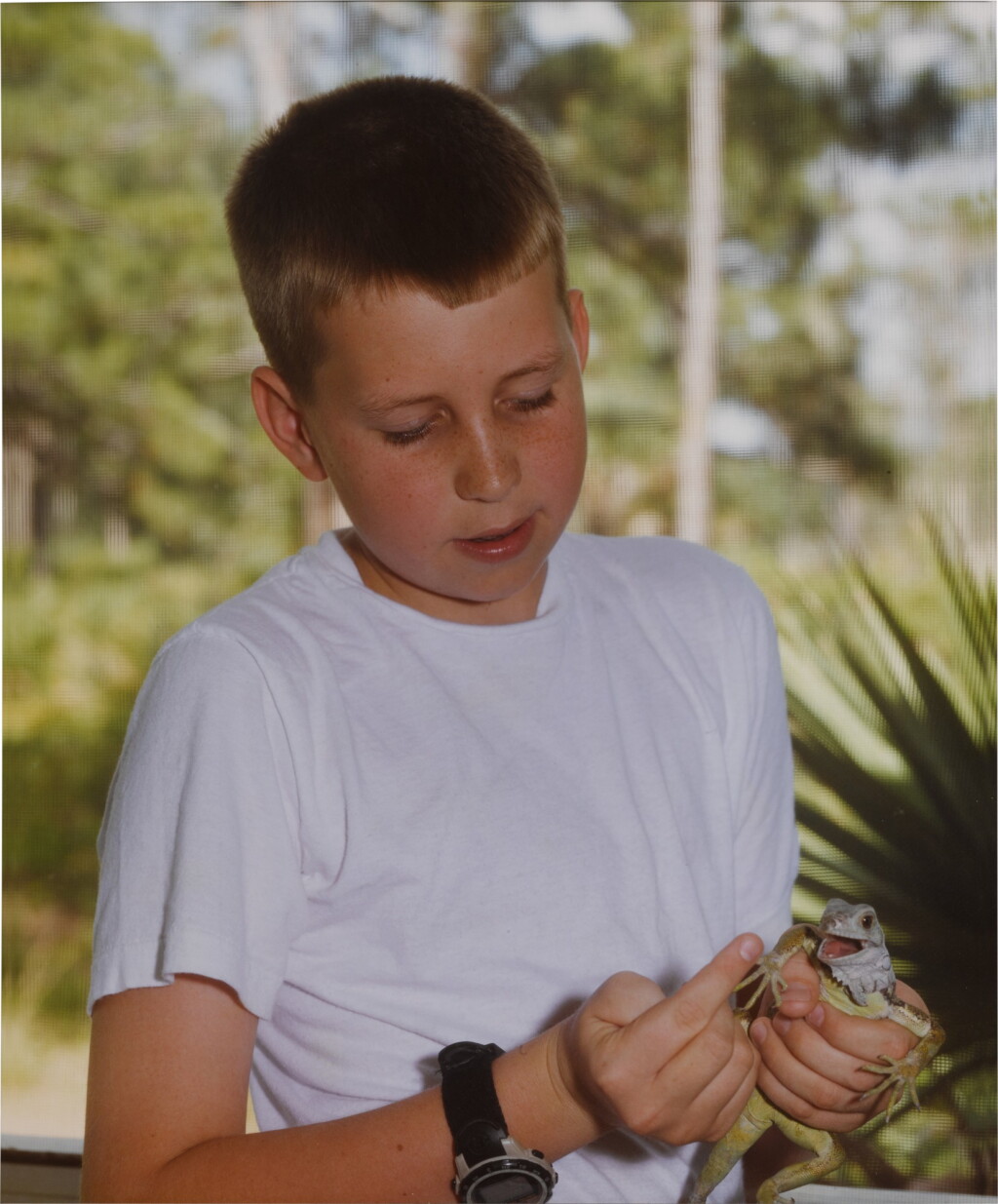 View full screen - View 1 of Lot 67. 'Zach with Lizard'.