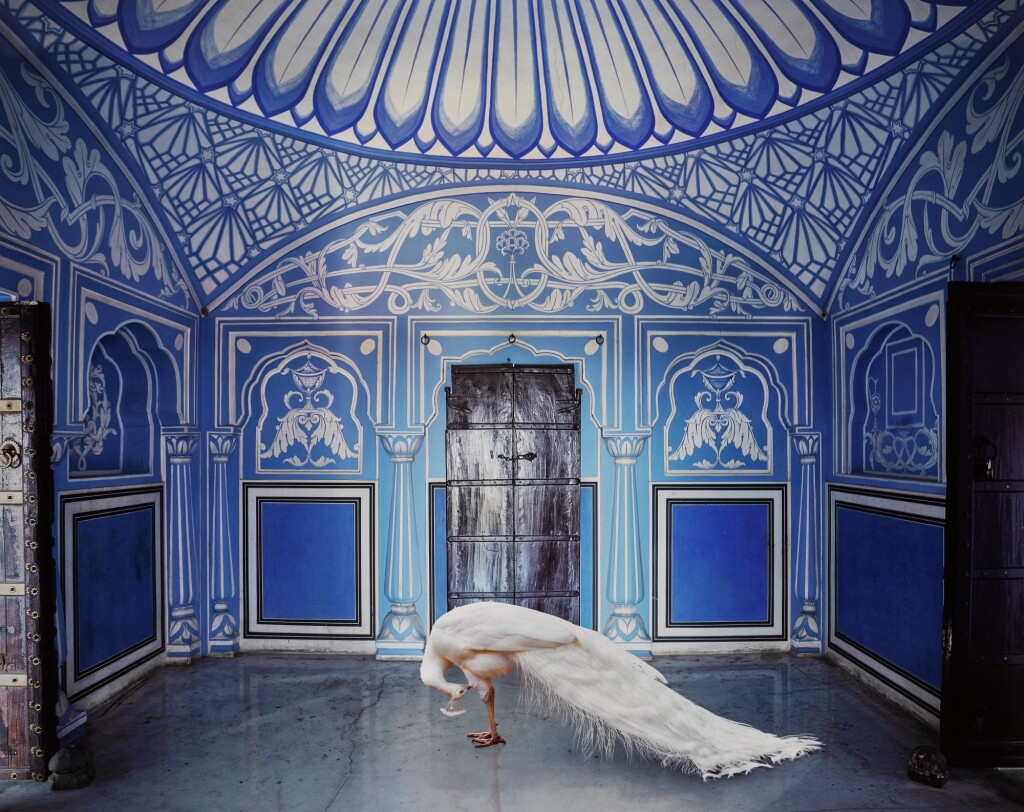 View full screen - View 1 of Lot 11. 'Ganesha’s Mount, Chavi Niwas, Jaipur' (from the series India Song), 2020.