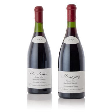 View full screen - View of Chambertin 2009 Domaine Leroy (2 BT).