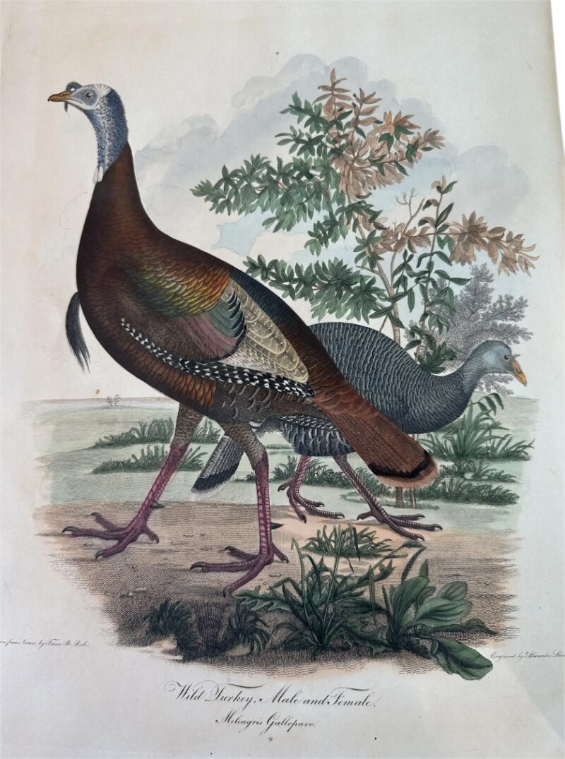 Cover image 0