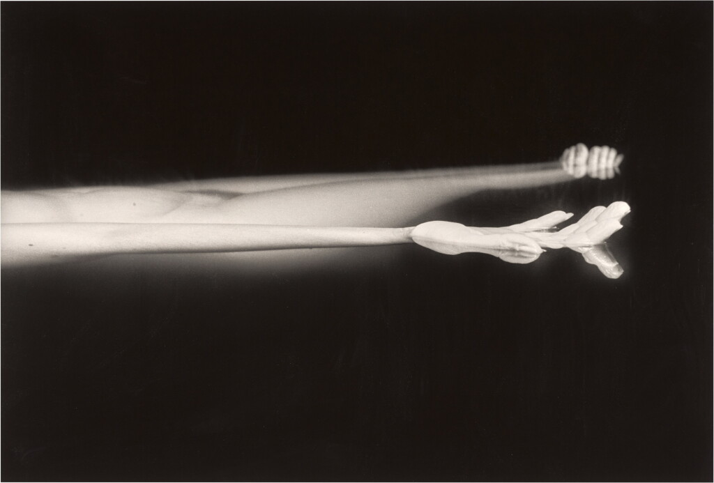 View full screen - View 1 of Lot 59. Dead Silences (1479).