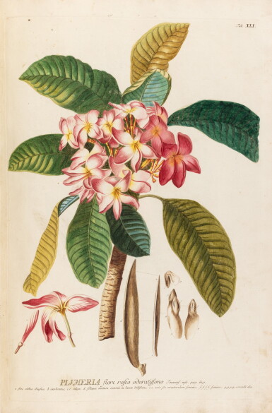View full screen - View 1 of Lot 62. Plantae Selectae. 1750-1765. 70 planches coloriées en couleurs, en un volume in-folio..