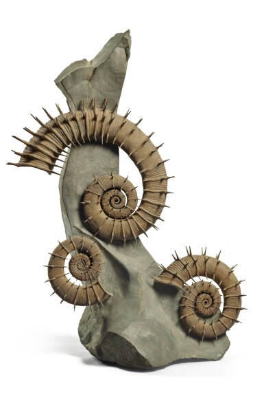 View full screen - View 1 of Lot 13. Trio of Cretaceous Ammonites — Spiny Form.