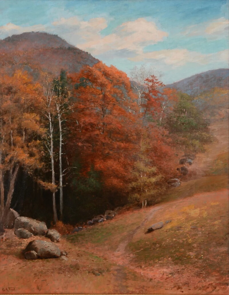 Cover image 0