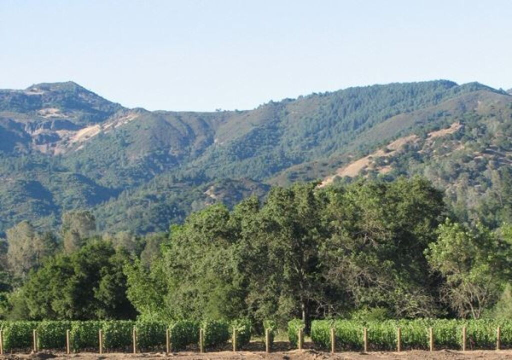 View full screen - View 1 of Lot 220. Fisher Vineyards, Cabernet Sauvignon, Lamb Vineyard, Calistoga 2008 (12 BT).