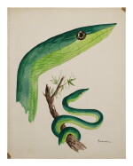 GREEN SNAKE