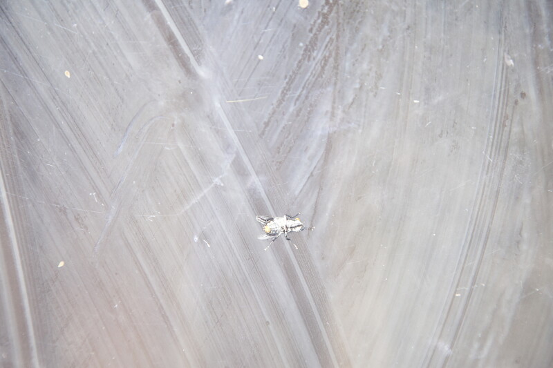 Cover image 0