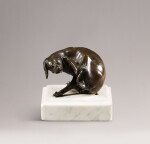 Little dog scratching its ear | Petit chien se grattant l'oreille