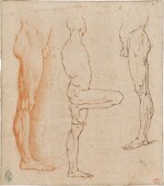 Anatomical studies