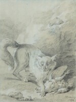 A fox and a pheasant | Renarde et perdrix