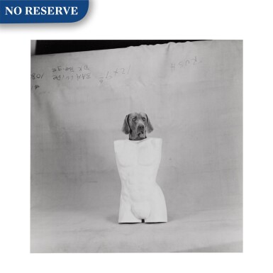 View full screen - View 1 of Lot 75. 'Torso Head'.