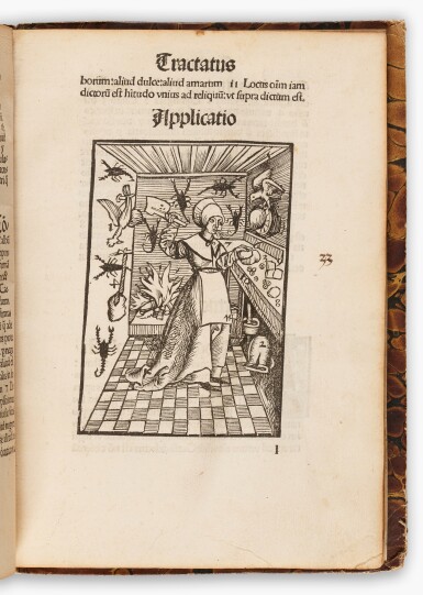 View full screen - View 1 of Lot 52. Thomas Murner | Logica memorativa, Strassburg, 1509.
