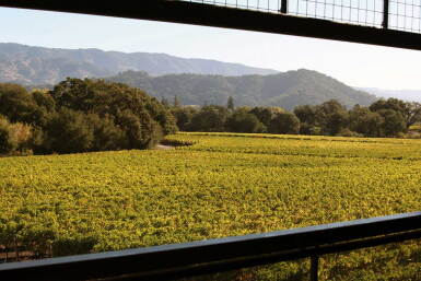 View full screen - View 1 of Lot 475. Napanook, Dominus Estate 2017 (6 BT).