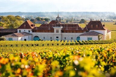 全螢幕檢視 - 查看1174Château Angélus 2014 (3 DM)的1