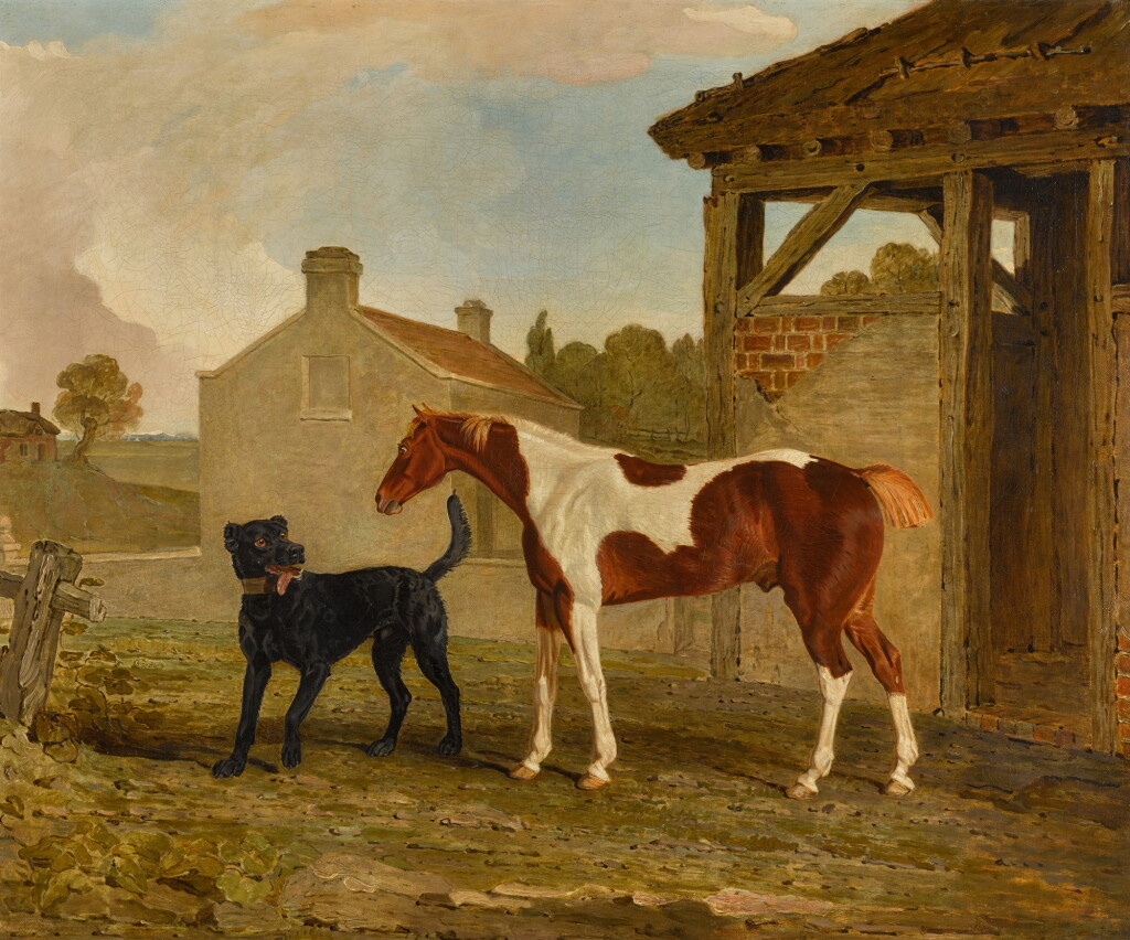 View full screen - View 1 of Lot 150. Mr Wedge's black Newfoundland dog, Satan, and a piebald pony, outside a barn.